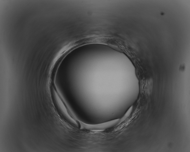 X0000097950150200804011643