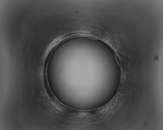 X0000097950151200804011643