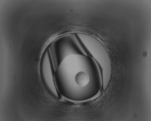 X0000097950152200804011643