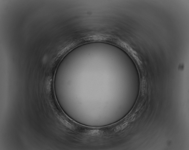 X0000097950153200804011643