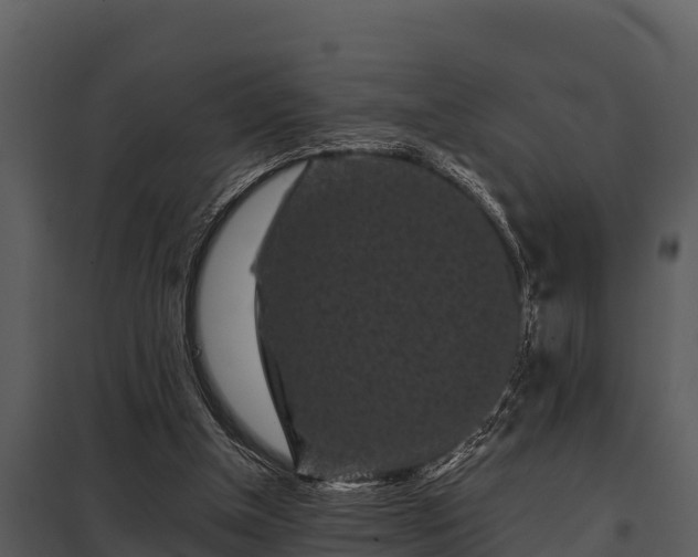 X0000097950154200804011643