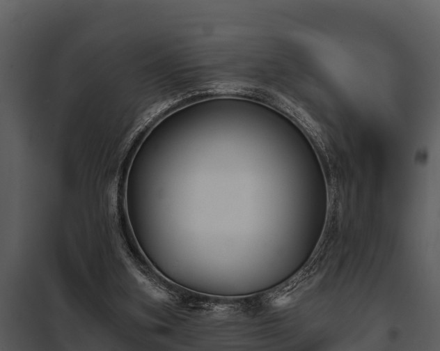 X0000097950155200804011643