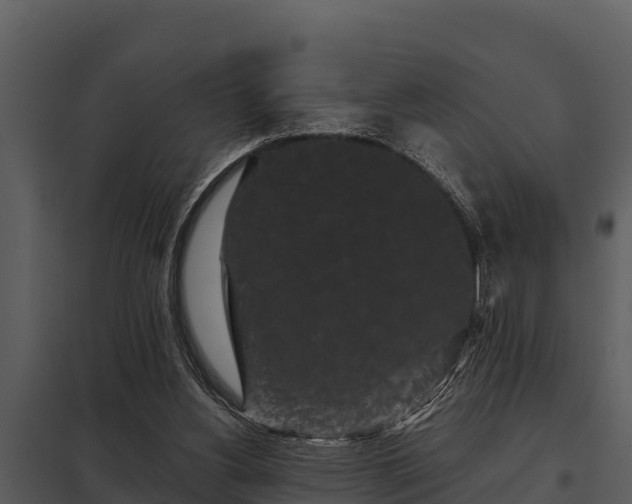 X0000097950156200804011643