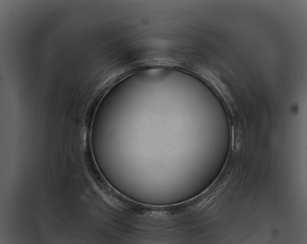 X0000097950157200804011643