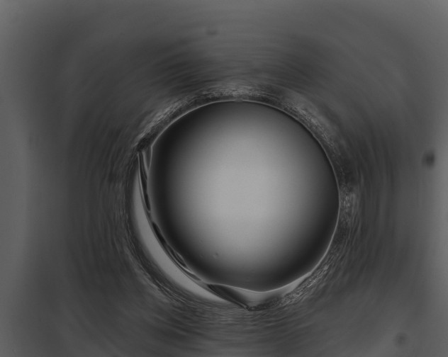 X0000097950158200804011643