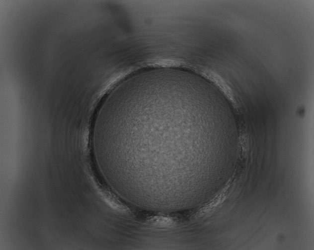 X0000097950159200804011643