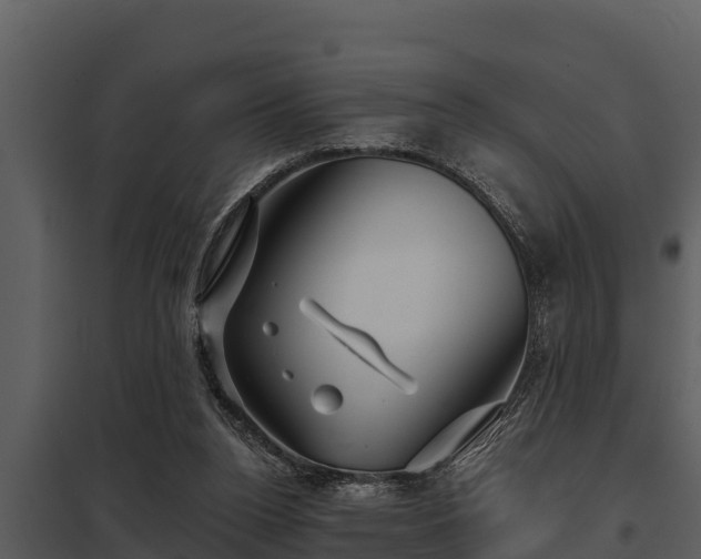 X0000097950160200804011643