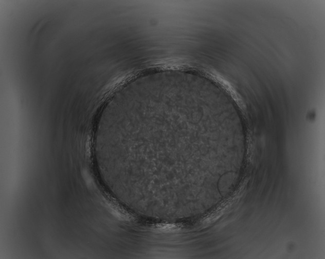 X0000097950161200804011643