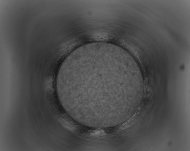 X0000097950162200804011643