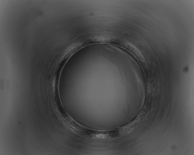 X0000097950163200804011643