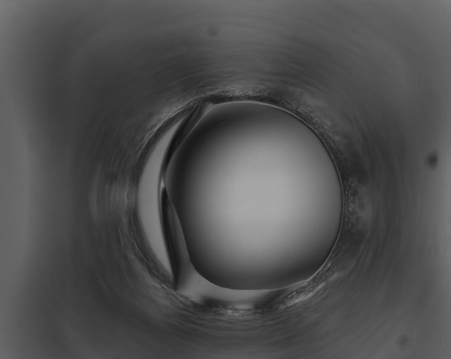 X0000097950164200804011643