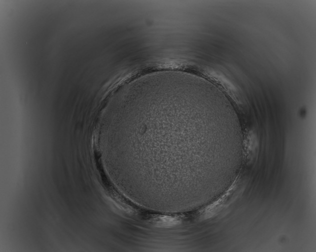 X0000097950166200804011643