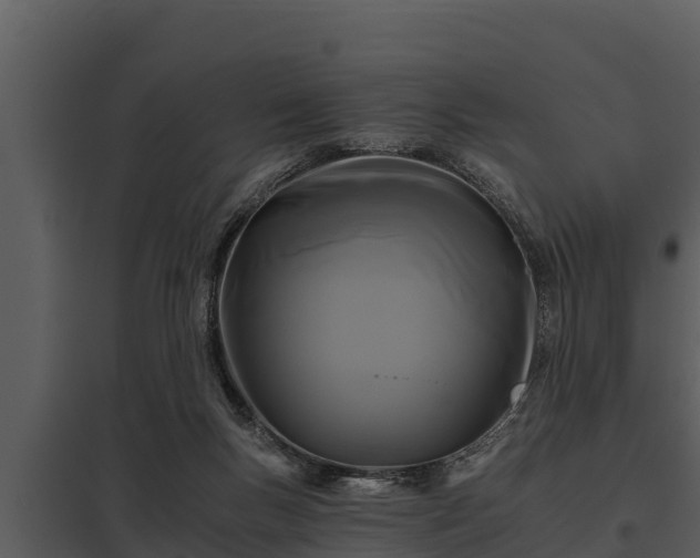 X0000097950167200804011643