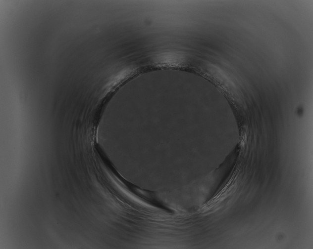 X0000097950168200804011643