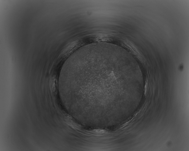 X0000097950169200804011643