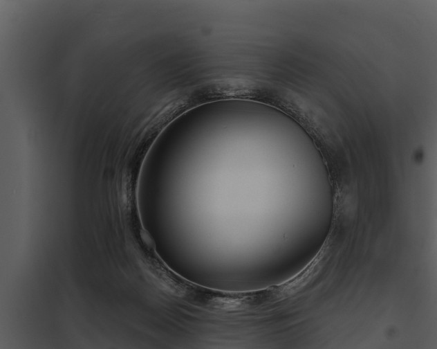 X0000097950170200804011643