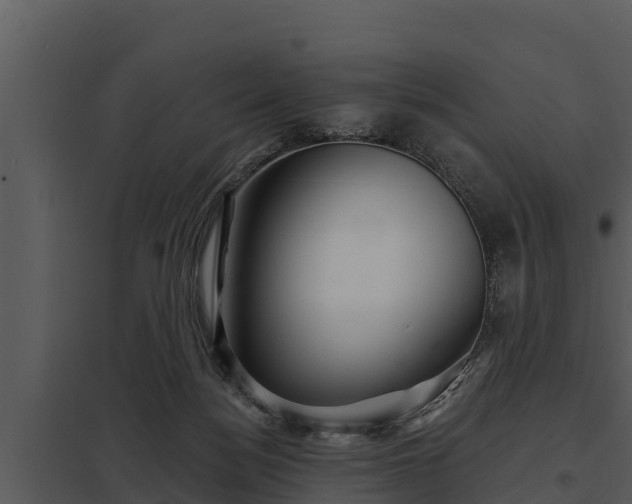 X0000097950172200804011643