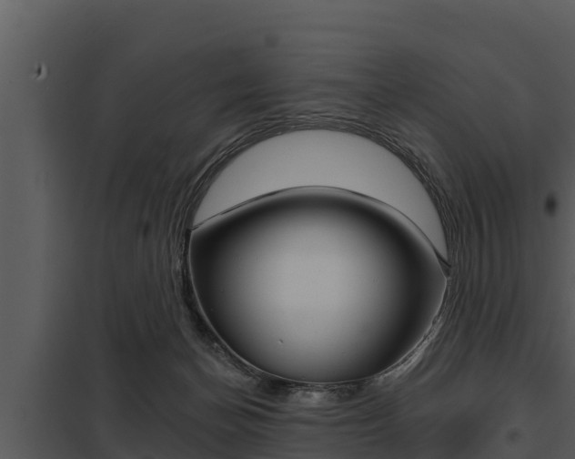 X0000097950174200804011643