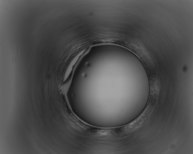 X0000097950175200804011643