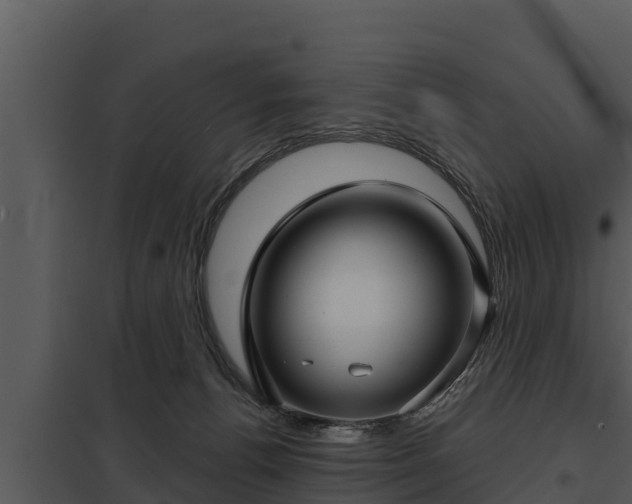X0000097950176200804011643
