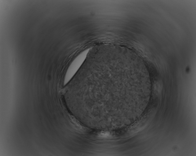 X0000097950177200804011643