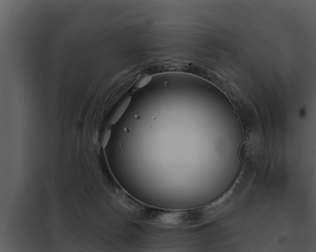 X0000097950178200804011643