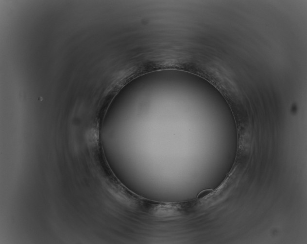 X0000097950179200804011643