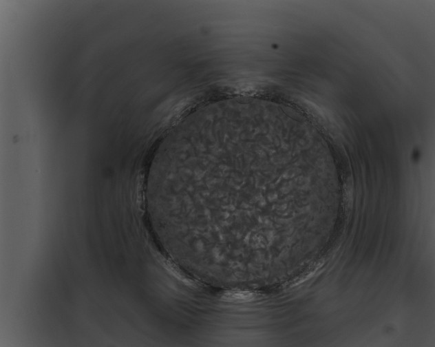 X0000097950181200804011643