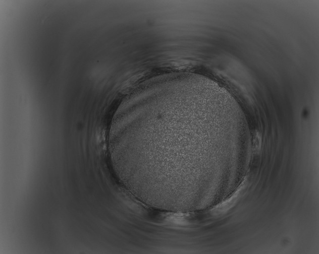 X0000097950182200804011643