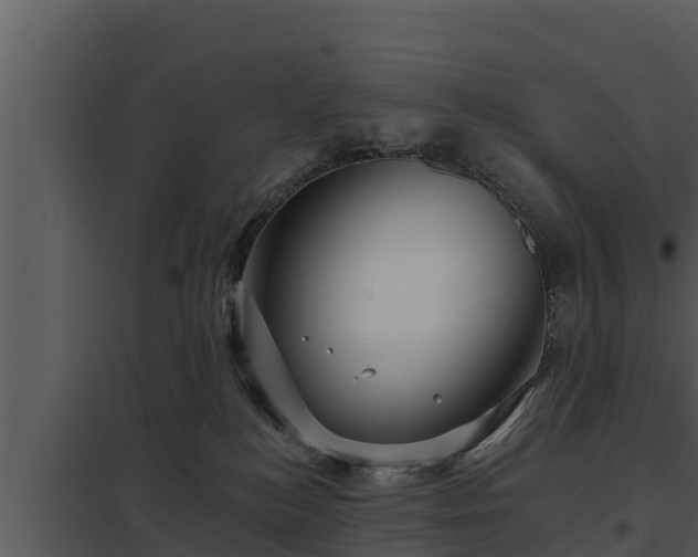 X0000097950184200804011643