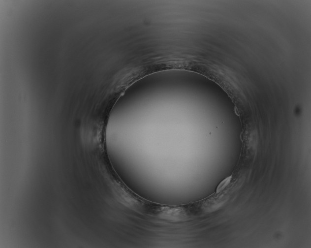 X0000097950185200804011643