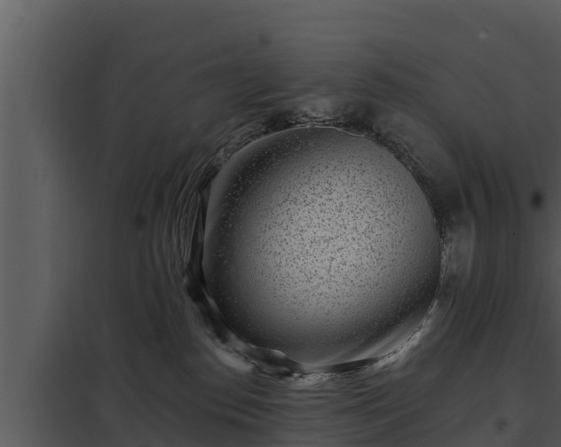 X0000097950186200804011643