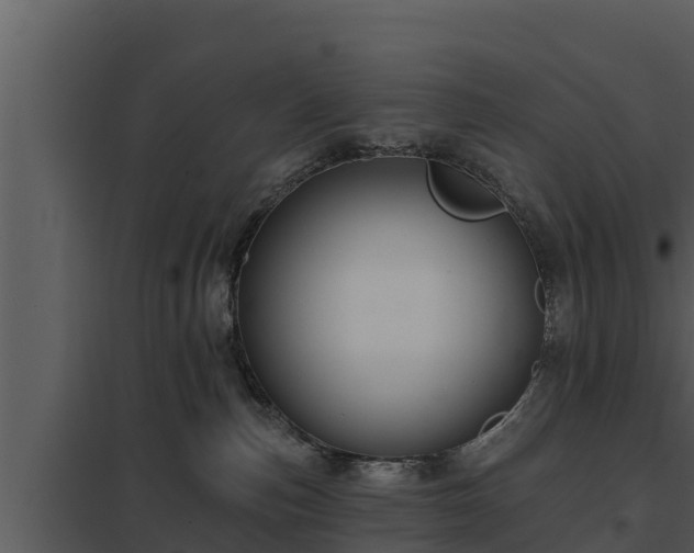 X0000097950187200804011643