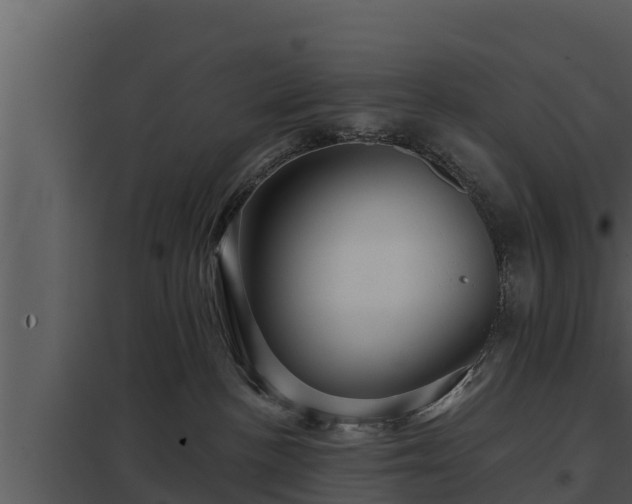 X0000097950188200804011643