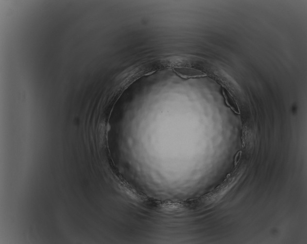 X0000097950189200804011643