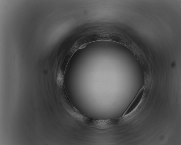 X0000097950191200804011643