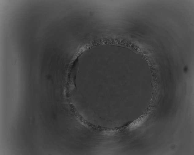X0000097950192200804011643