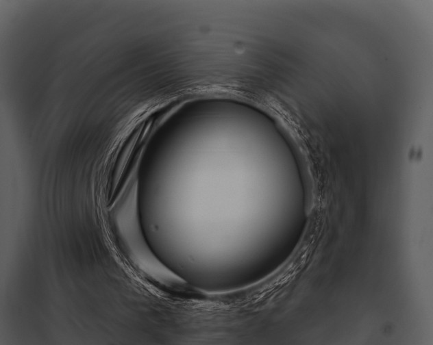X0000097950193200804011643