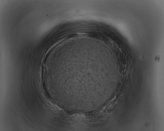X0000097950194200804011643