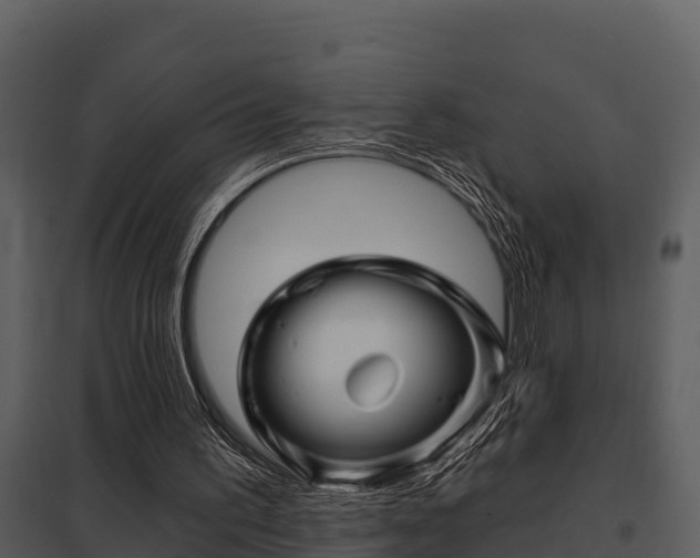 X0000097950195200804011643