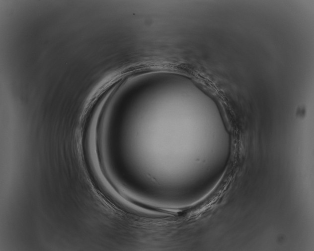 X0000097950197200804011642