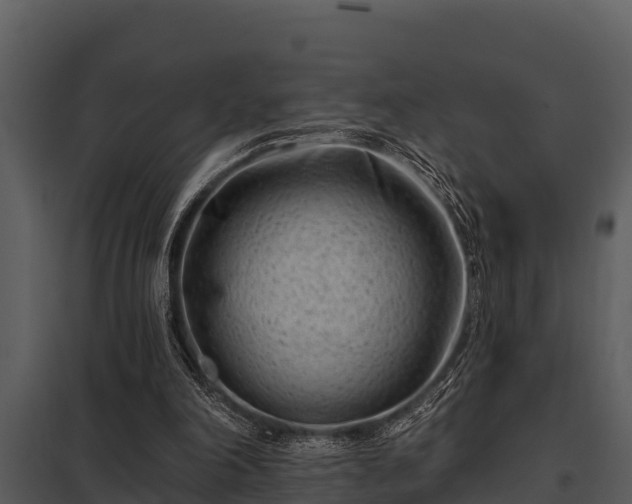 X0000097950198200804011642