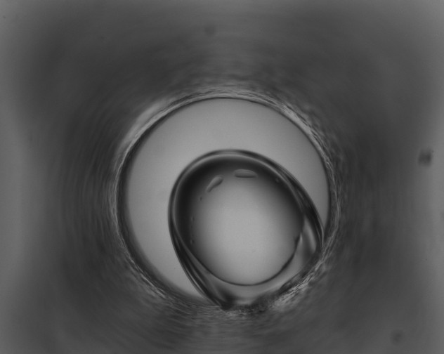 X0000097950199200804011642