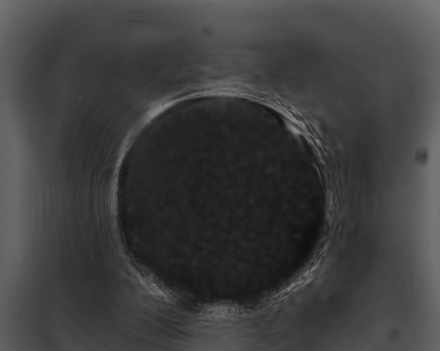 X0000097950200200804011642