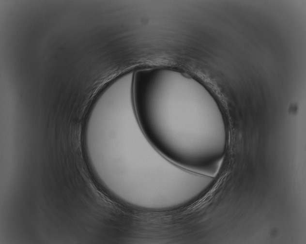 X0000097950201200804011642