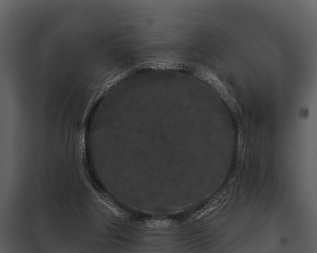 X0000097950202200804011642