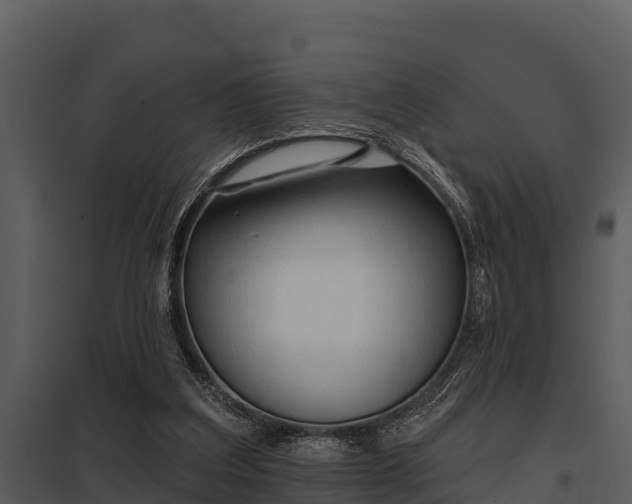 X0000097950203200804011642