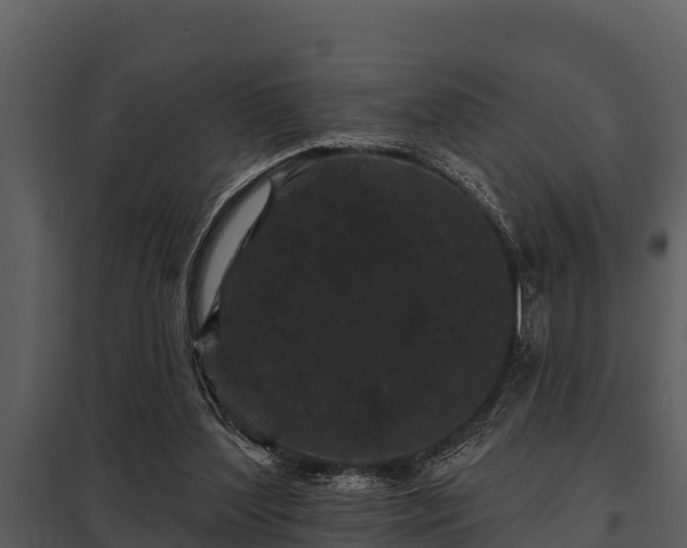 X0000097950204200804011642