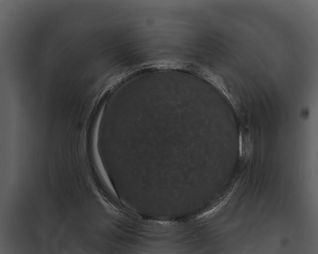 X0000097950205200804011642