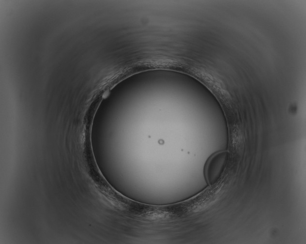 X0000097950206200804011642